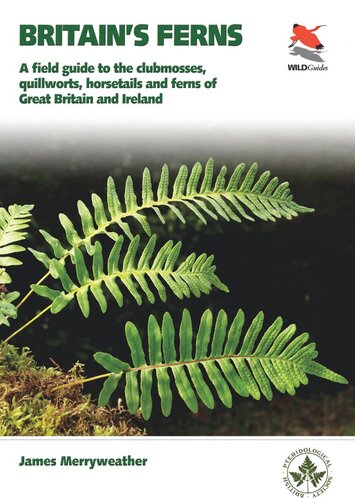 Britains Ferns A Field Guide To The Clubmosses Quillworts Horsetails And Ferns Of Great Britain And Ireland James Merryweather