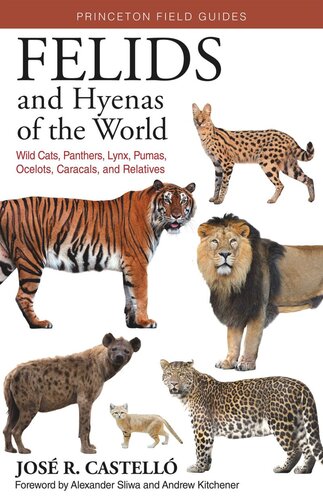 Felids And Hyenas Of The World Wildcats Panthers Lynx Pumas Ocelots Caracals And Relatives Jos R Castell Andrew C Kitchener Alexander Sliwa