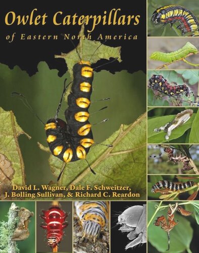 Owlet Caterpillars Of Eastern North America Course Book David L Wagner Dale F Schweitzer J Bolling Sullivan Richard C Reardon
