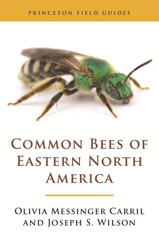 Common Bees Of Eastern North America Olivia Messinger Carril Joseph S Wilson