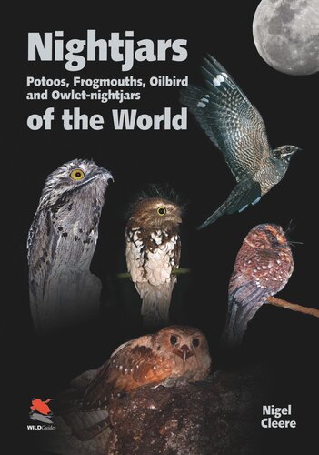 Nightjars Potoos Frogmouths Oilbird And Owletnightjars Of The World Nigel Cleere