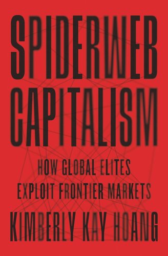 Spiderweb Capitalism How Global Elites Exploit Frontier Markets Kimberly Kay Hoang