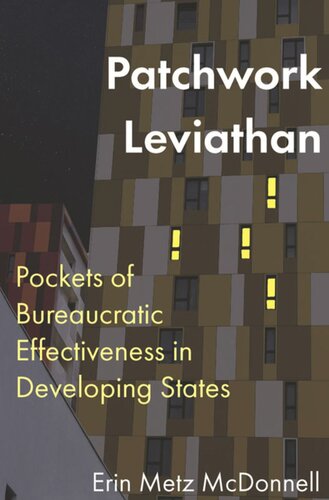 Patchwork Leviathan Pockets Of Bureaucratic Effectiveness In Developing States Erin Metz Mcdonnell