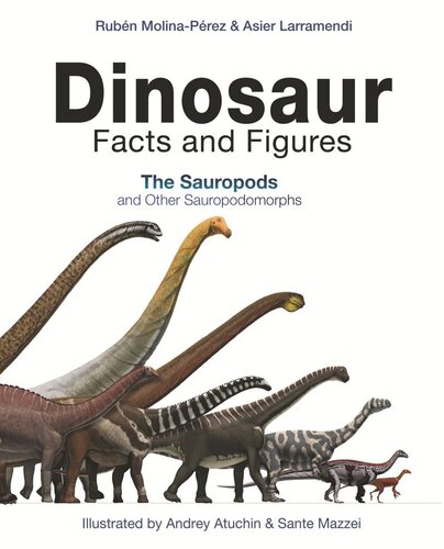 Dinosaur Facts And Figures The Sauropods And Other Sauropodomorphs Rubn Molinaprez Asier Larramendi Joan Donaghey Andrey Atuchin Sante Mazzei