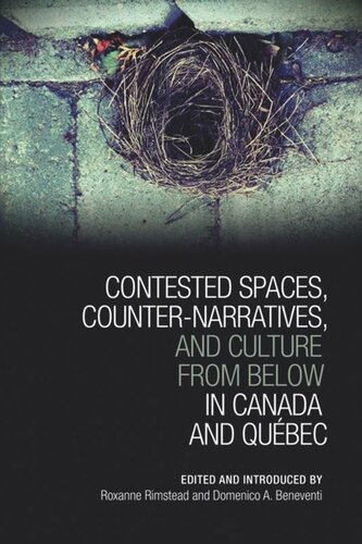 Contested Spaces Counternarratives And Culture From Below In Canada And Qubec Roxanne Rimstead Editor Domenic A Beneventi Editor