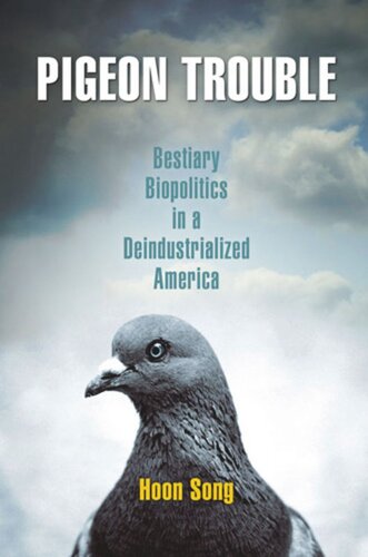 Pigeon Trouble Bestiary Biopolitics In A Deindustrialized America Hoon Song