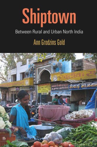 Shiptown Between Rural And Urban North India Ann Grodzins Gold