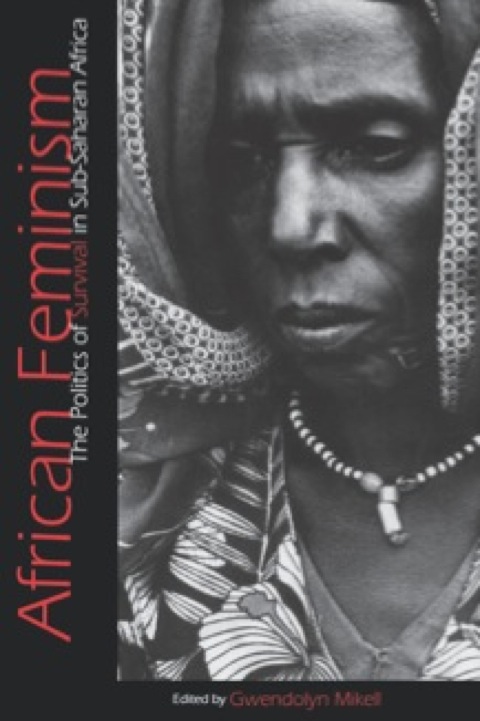 African Feminism The Politics Of Survival In Subsaharan Africa 1st Edition Gwendolyn Mikell