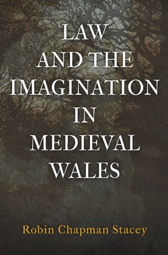 Law And The Imagination In Medieval Wales Robin Chapman Stacey