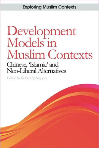 Development Models In Muslim Contexts Chinese Islamic And Neoliberal Alternatives Robert Springborg