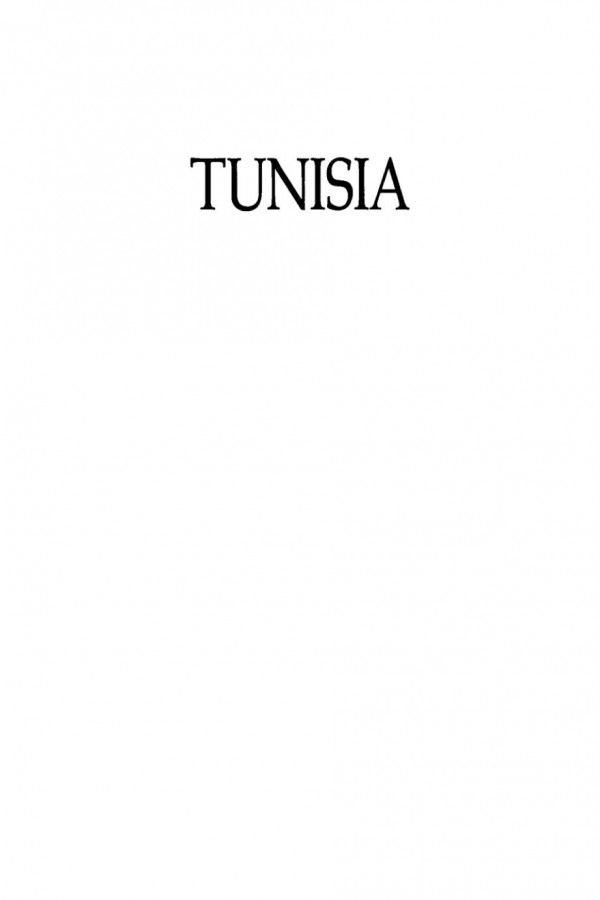 Tunisia The Political Economy Of Reform I William Zartman Editor