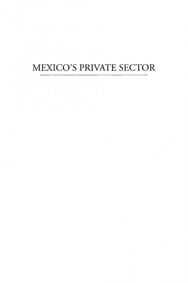 Mexicos Private Sector Recent History Future Challenges Riordan Roett Editor