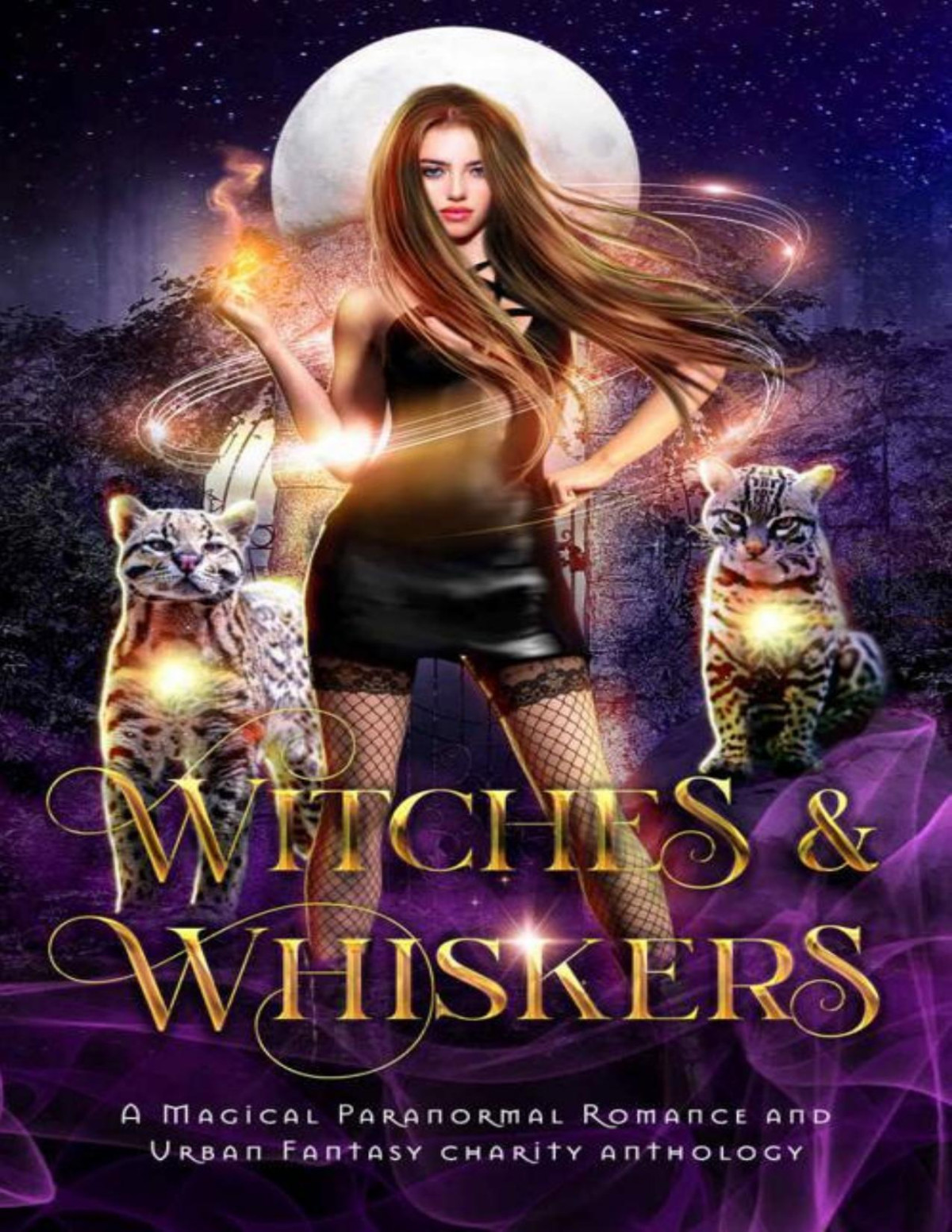 Witches Whiskers A Magical Paranormal Romance Urban Fantasy Charity Anthology Charmed Magic Collections Various Authors