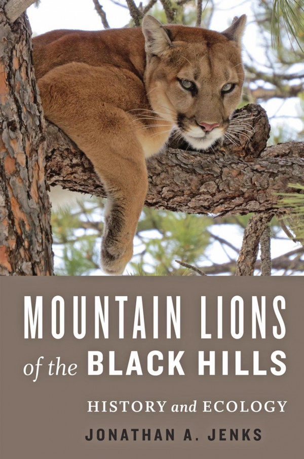 Mountain Lions Of The Black Hills History And Ecology 1st Edition Jonathan A Jenks