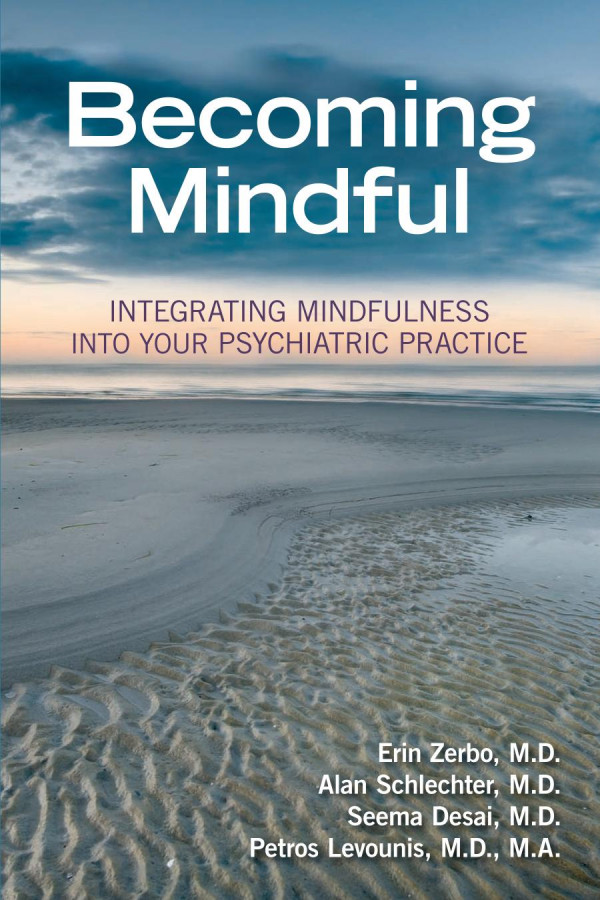 Becoming Mindful Integrating Mindfulness Into Your Psychiatric Practice 1st Edition Erin Zerbo Alan Schlechter Seema Desai Petros Levounis