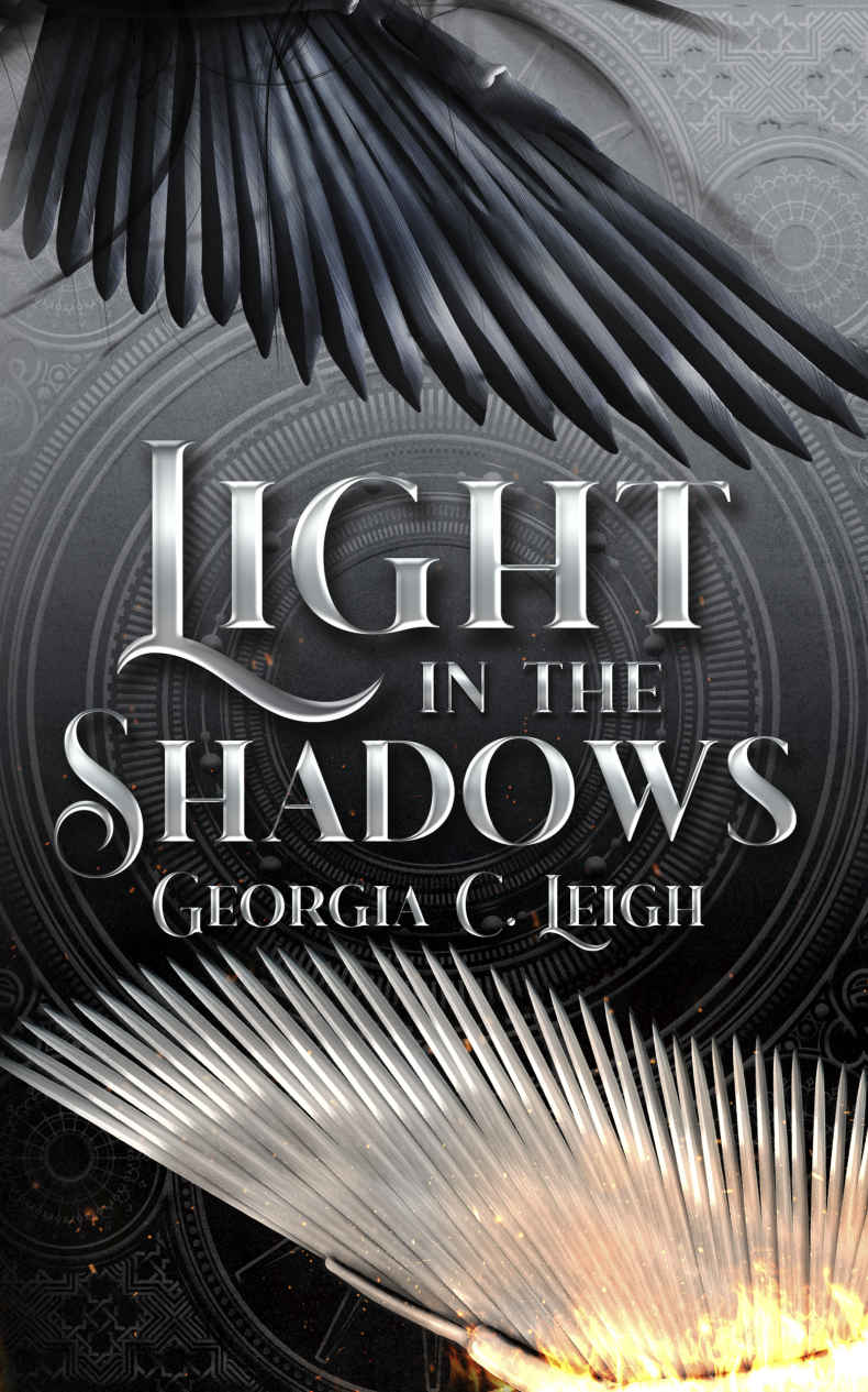 Light In The Shadows Book 1 Of The Shadows And Light Series 1 Of 4 Georgia C Leigh