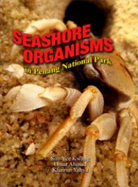 Seashore Organism In Penang National Park Yee Kwang Sim Ahmad Omar Khairun Yahya