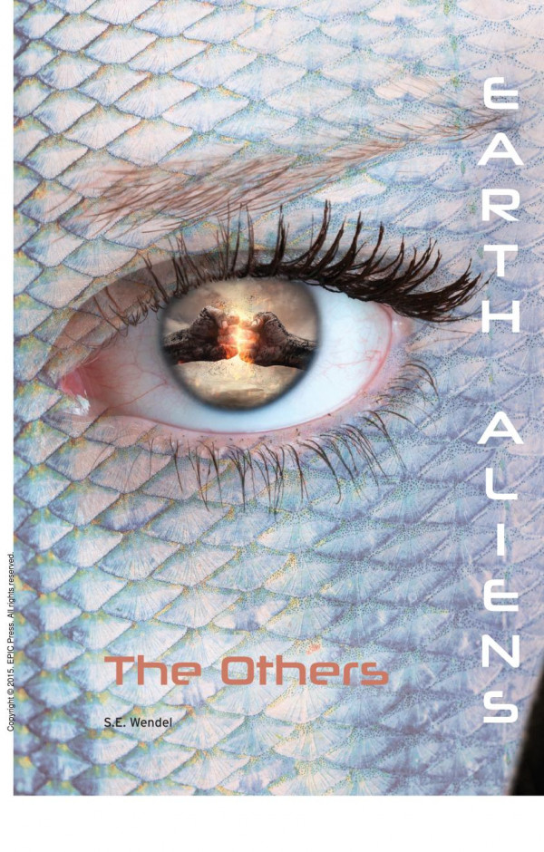 Others 4 1st Edition S E Wendel