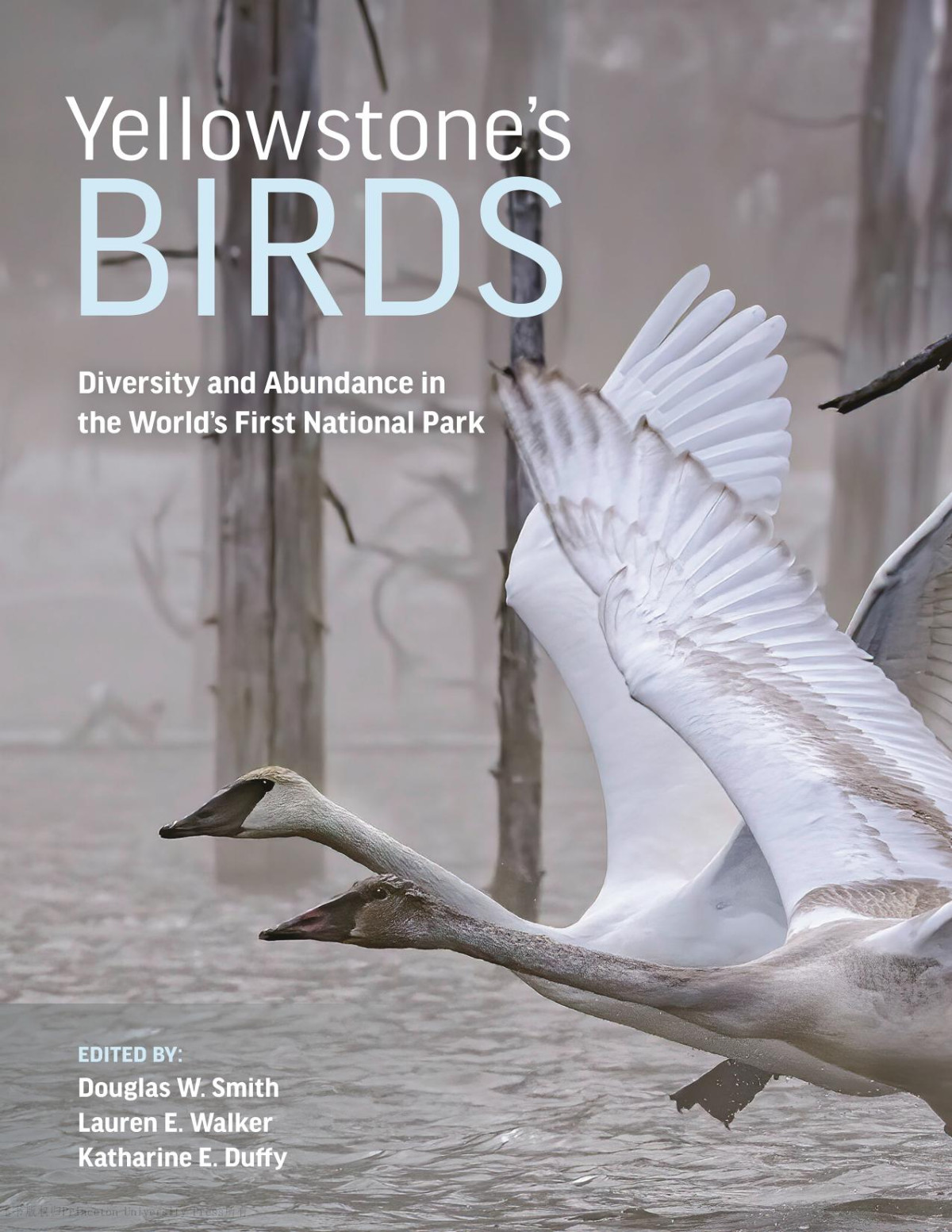 Yellowstones Birds Diversity And Abundance In The Worlds First National Park Robert K Landis Douglas W Smith