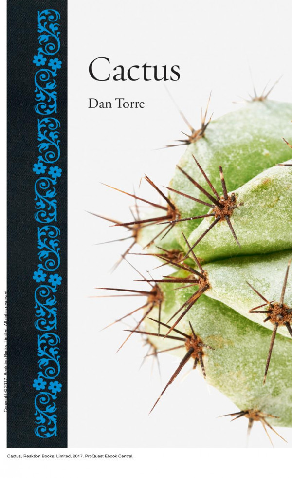 Cactus 1st Edition Dan Torre