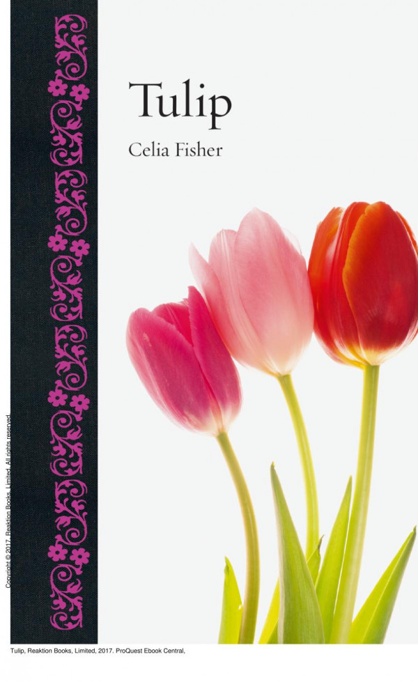 Tulip 1st Edition Celia Fisher
