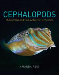 Cephalopods Of Australia And Subantarctic Territories 1st Edition Amanda Reid