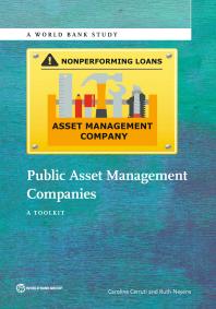 Public Asset Management Companies A Toolkit 1st Edition Caroline Cerruti Ruth Neyens