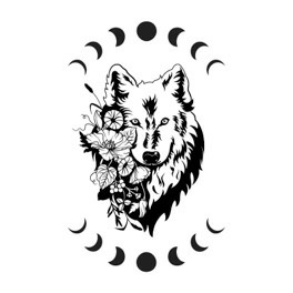 The Wolf The Twisted Kingdoms Book 6 Frost Kay