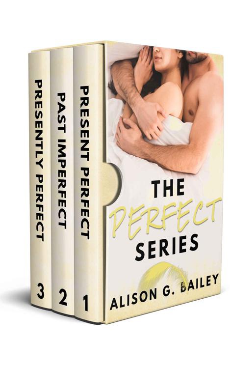The Perfect Series Box Set Alison G Bailey
