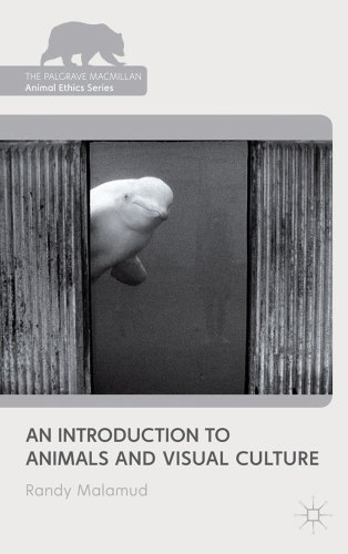 An Introduction To Animals And Visual Culture Randy Malamud