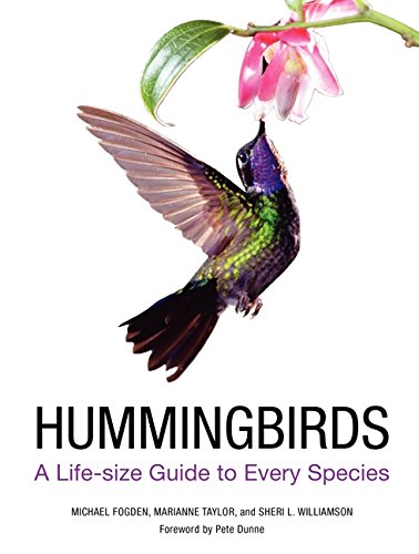 Hummingbirds A Lifesize Guide To Every Species First Edition Michael Fogden