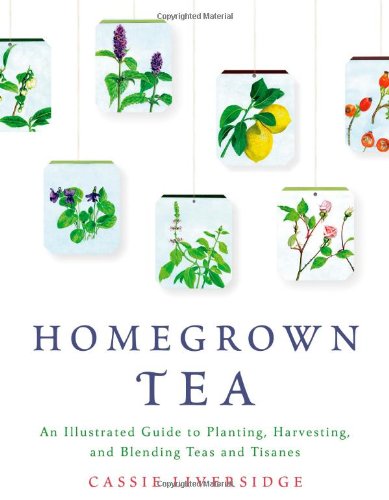 Homegrown Tea An Illustrated Guide To Planting Harvesting And Blending Teas And Tisanes Cassie Liversidge