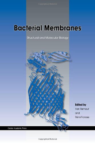 Bacterial Membranes Structural And Molecular Biology 1st Edition Han Remaut Ed