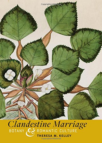 Clandestine Marriage Botany And Romantic Culture Theresa M Kelley