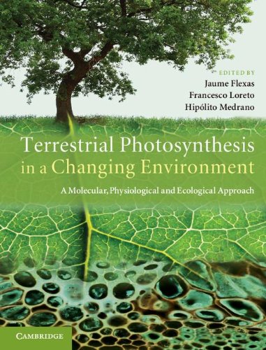 Terrestrial Photosynthesis In A Changing Environment A Molecular Physiological And Ecological Approach 1st Edition Jaume Flexas