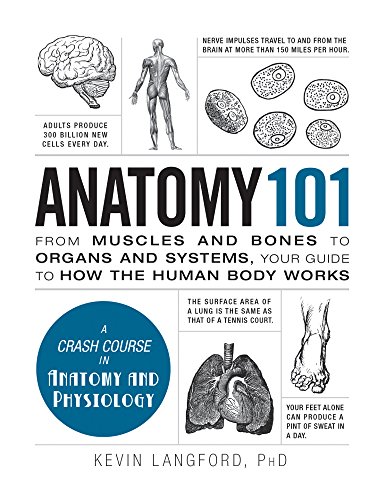 Anatomy 101 Kevin Langford
