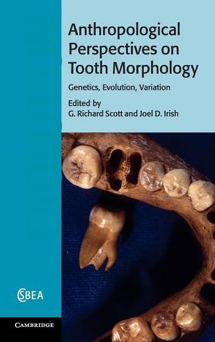 Anthropological Perspectives On Tooth Morphology Genetics Evolution Variation 1st Edition G Richard Scott