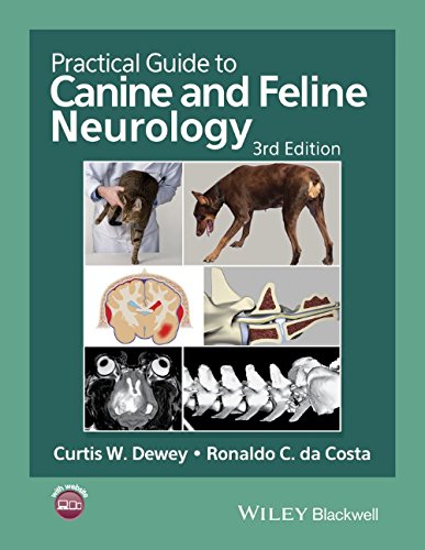 Practical Guide To Canine And Feline Neurology 3rd Edition Curtis W Dewey