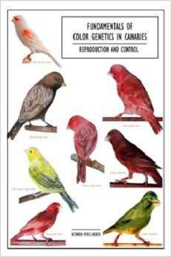 Fundamentals Of Color Genetics In Canaries Reproduction And Control Octavio Perezbeato