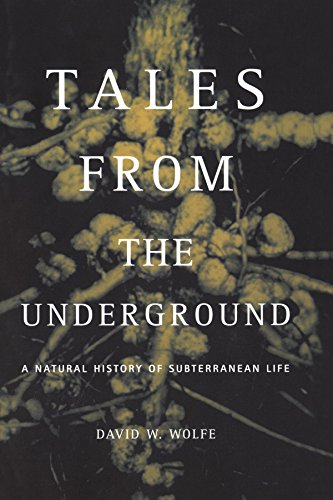 Tales From The Underground A Natural History Of Subterranean Life David Wolfe