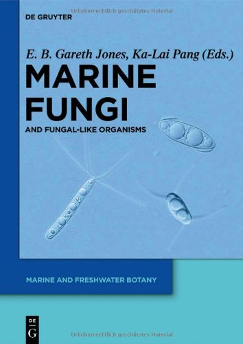 Marine Fungi And Fungallike Organisms E B Gareth Jones Kalai Pang