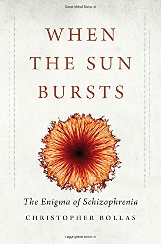 When The Sun Bursts The Enigma Of Schizophrenia Christopher Bollas