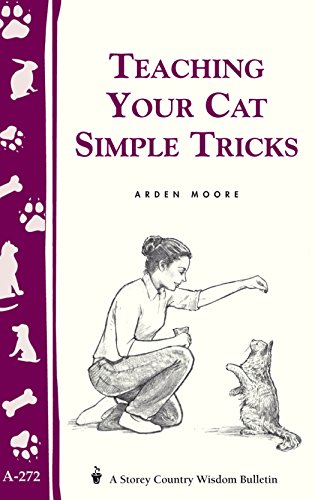 Teaching Your Cat Simple Tricks Arden Moore