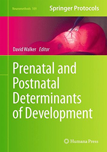 Prenatal And Postnatal Determinants Of Development David W Walker