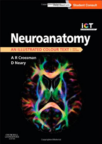 Neuroanatomy An Illustrated Colour Text 5th Edition Alan R Crossman