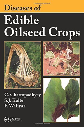 Diseases Of Edible Oilseed Crops C Chattopadhyay S J Kolte
