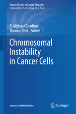 Chromosomal Instability In Cancer Cells 1st Edition B Michael Ghadimi