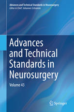 Advances And Technical Standards In Neurosurgery Volume 43 1st Edition Johannes Schramm Eds