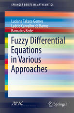Fuzzy Differential Equations In Various Approaches 1st Edition Luciana Takata Gomes