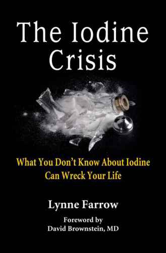 The Iodine Crisis What You Dont Know About Iodine Can Wreck Your Life 1st Edition Lynne Farrow